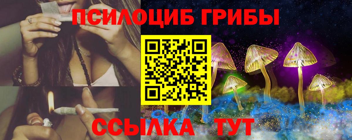 Псилоцибиновые грибы Cubensis Верхняя Пышма
